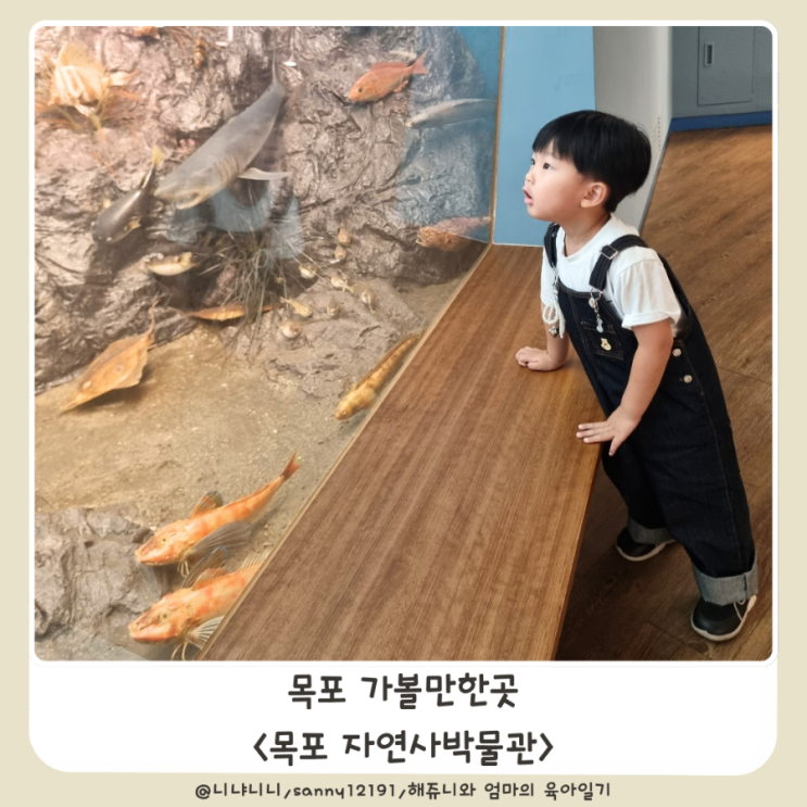  목포 자연사박물관 아이와가볼만한곳 공룡화석전시관 입장료