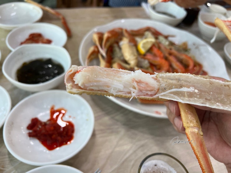  강원도 속초 여행. 동명항 근처 뷰는 좋은 유진게찜
