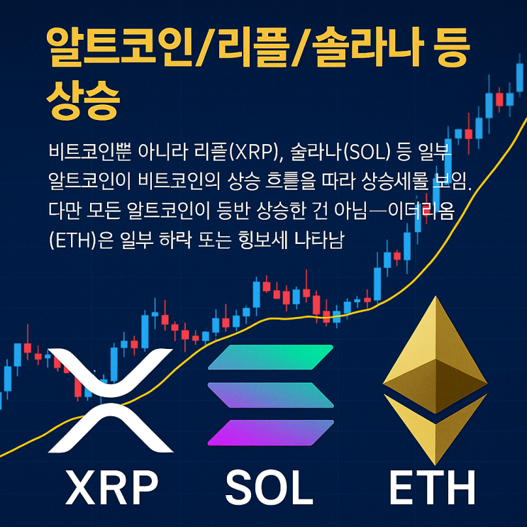 알트코인도 상승…리플·<b>솔라나 강세</b>, 이더리움은 혼조세