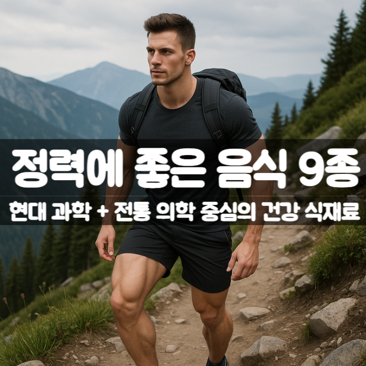  남자 정력에 좋은 음식 9가지 – 남성 활력 보충에 도움