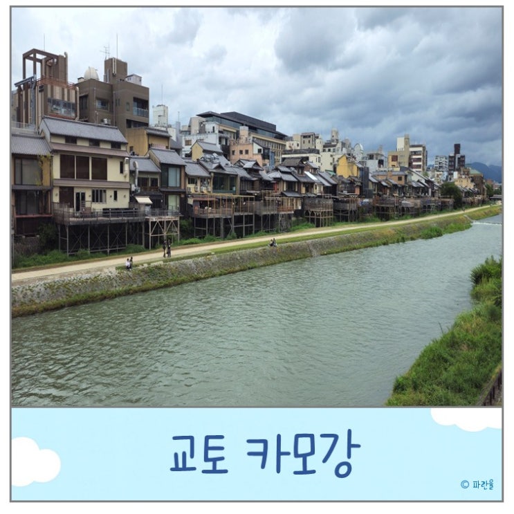  교토 자유여행 가볼 만한 곳 시조 다리 카모강 산책