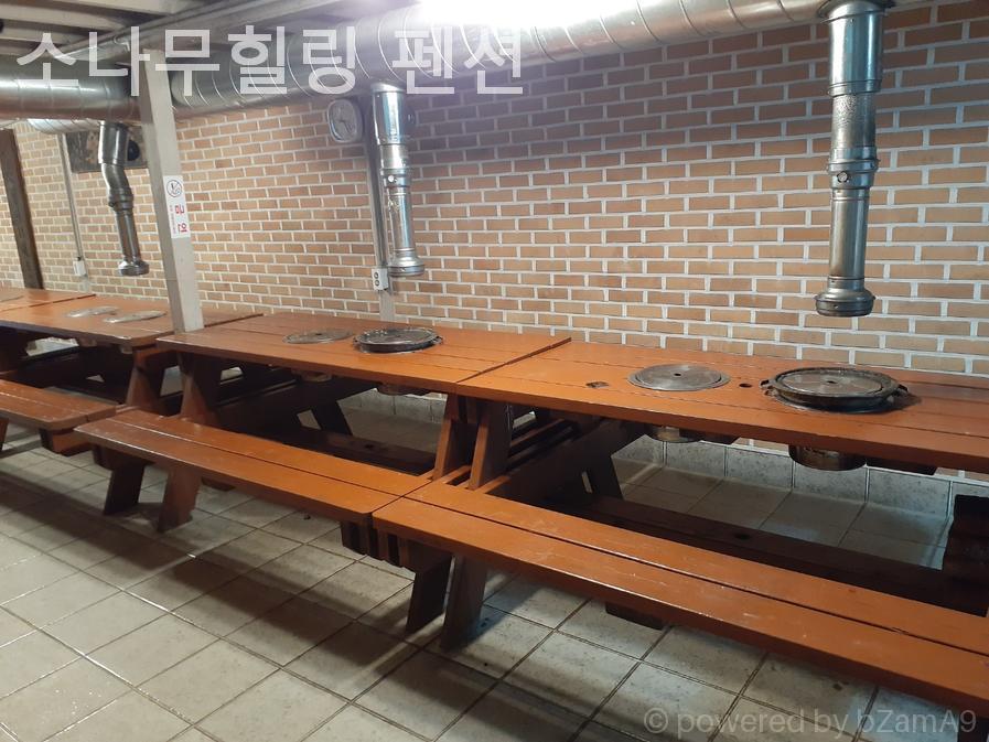 소나무힐링펜션 사진 3