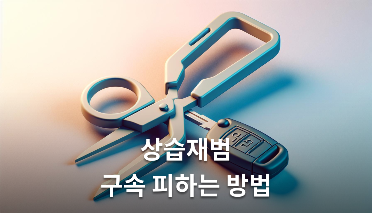  음주운전상습재범 구속 피하는 현실적 방법
