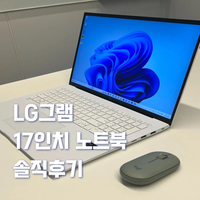 LG그램 17인치 노트북 - 한 달동안 써본 솔직 후기 17Z90S-GA5SK