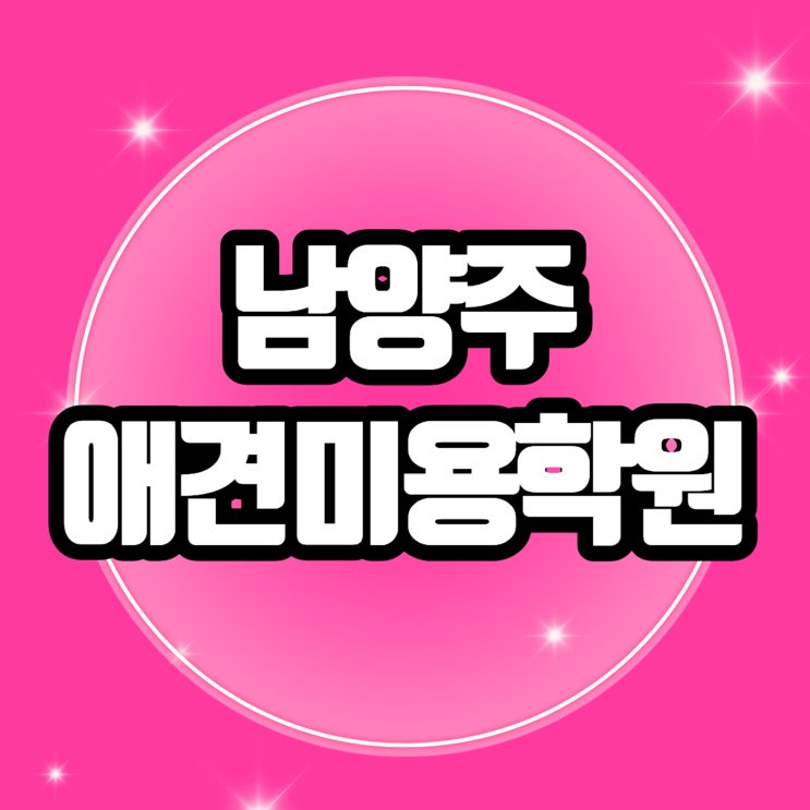  남양주애견미용학원 전문가 교육과정으로 펼치는 미래 직업의 새로운 가능성
