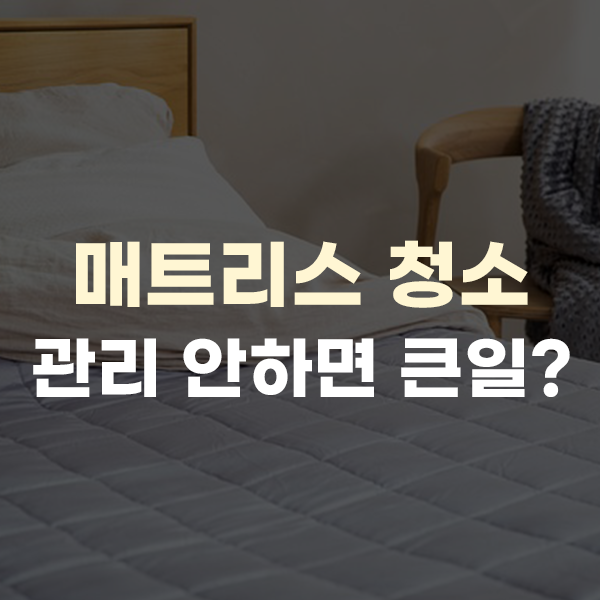  매트리스 청소와 관리법, 숙면을 위해서라면 필수 단계