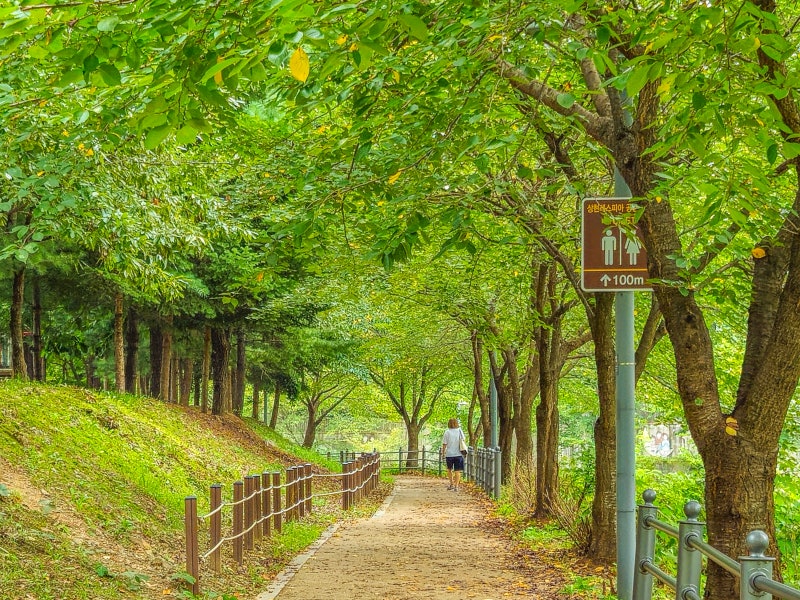사진 2