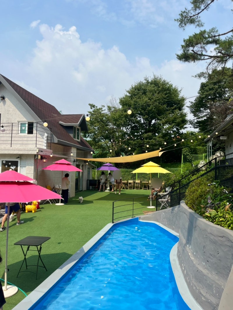 사진 6