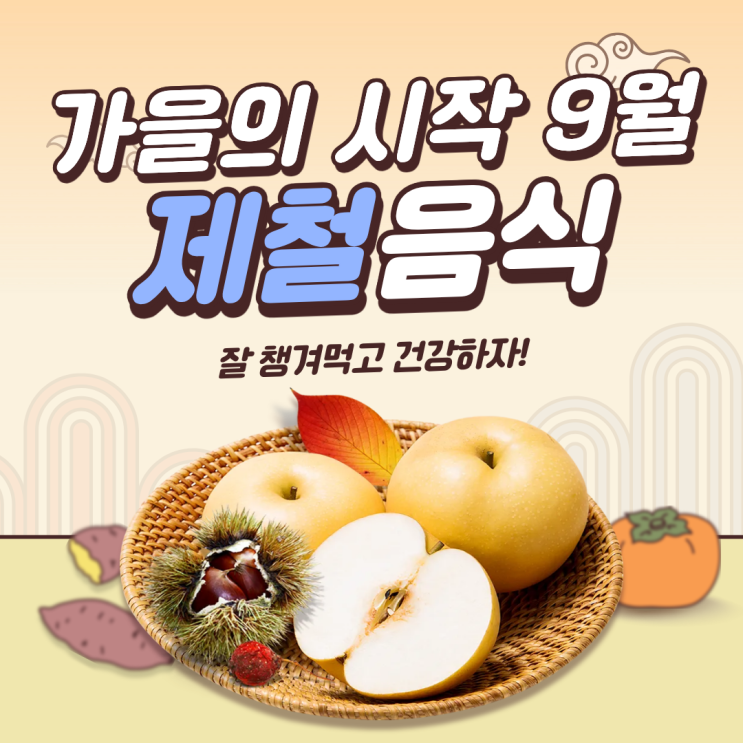  9월 제철 음식과 효능 가을 건강을 지켜주는 최고의 선택