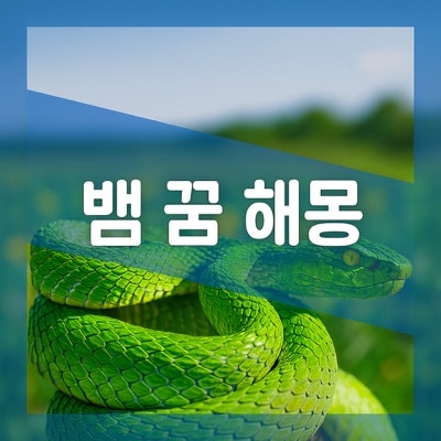 초록색 노란색 빨간색 하얀색 푸른색 뱀 나오는 꿈 해몽 풀이
