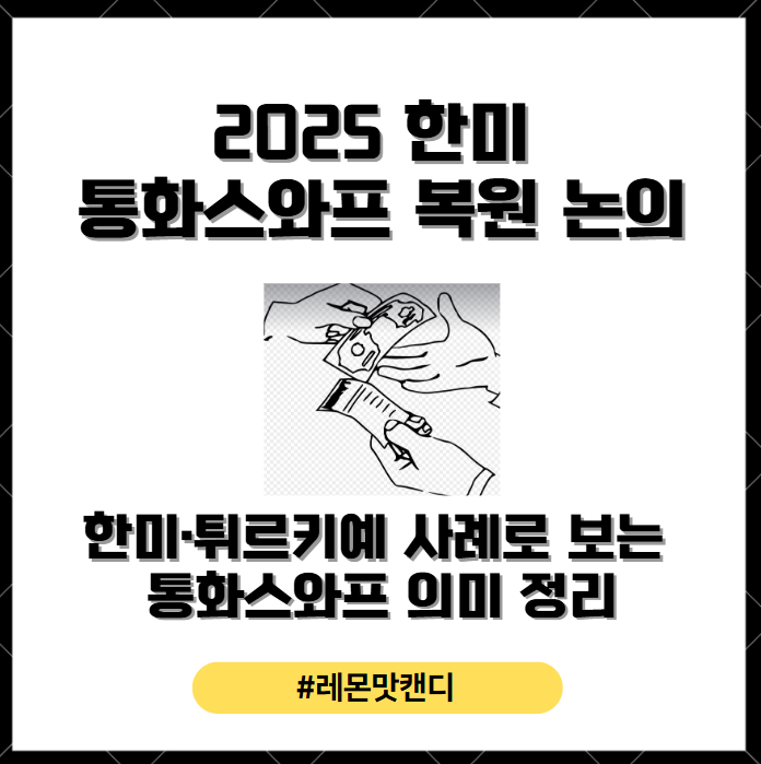 2025 <b>한미 통화스와프</b> 복원 <b>논의</b>, <b>한미</b>·튀르키예 사례로 보는... 