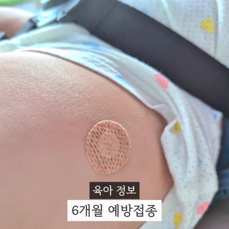 6개월 아기 <b>예방접종</b> 종류와 헥사심 <b>접종</b> 후기 <b>접종</b>열 <b>독감</b>접... 