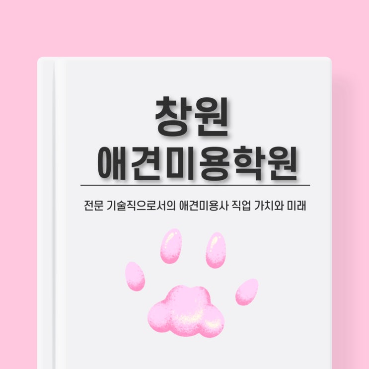  창원애견미용학원, 반려동물 전문가 양성의 핵심 알아보기