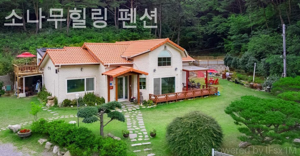 소나무힐링펜션 사진 1