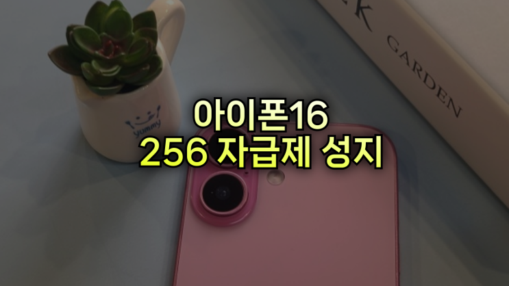  아이폰16 256 자급제 성지 차이 맞춤 구매 방식 찾기