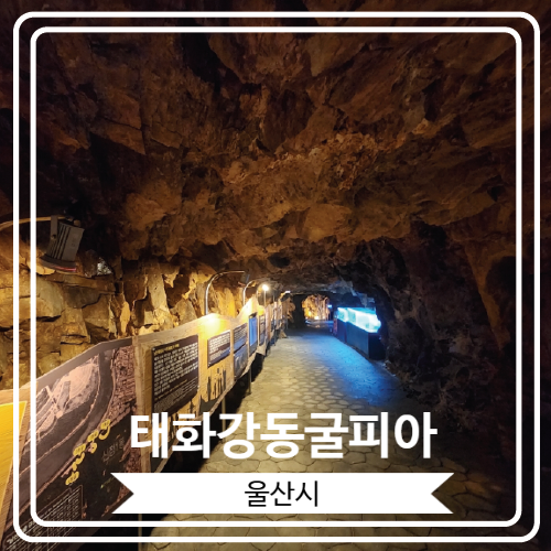  [태화강동굴피아] 역사 체험과 함께 각종 볼거리가 많은 울산 남구의 인공 동굴