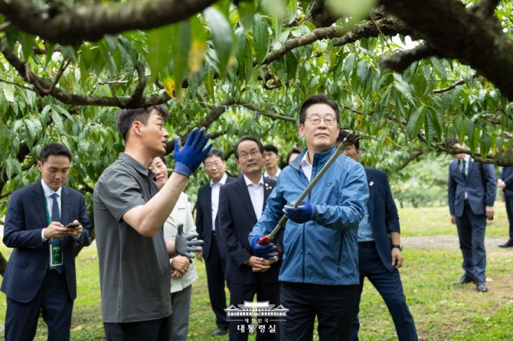 <b>이재명</b> 대통령, 청년 농부 만나 'K-<b>농업</b>' 미래 논해...선진국처럼... 