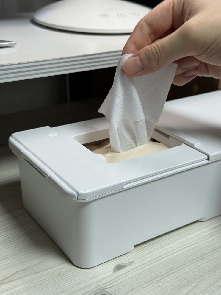  집 정리 꿀팁 꿀템 물티슈보관함 미니랩스 다용도 걸이형 물티슈케이스로 깔끔하게 수납