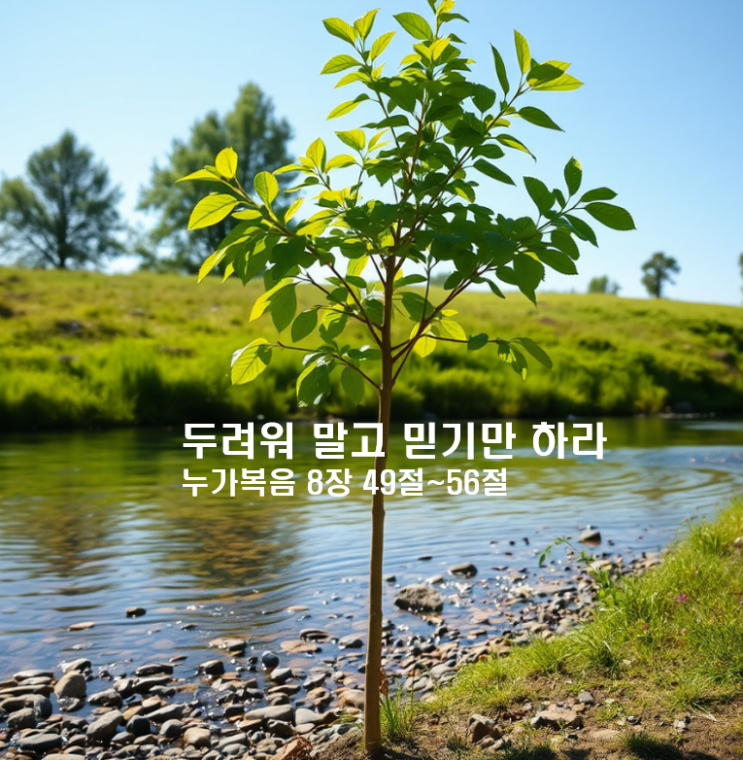  두려워 말고 믿기만 하라 누가복음 8장 49절~56절