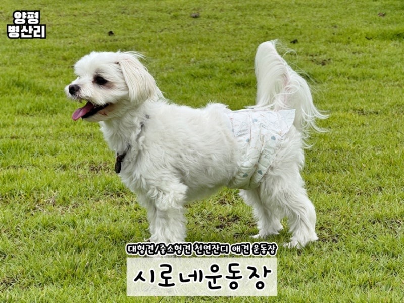 사진 2