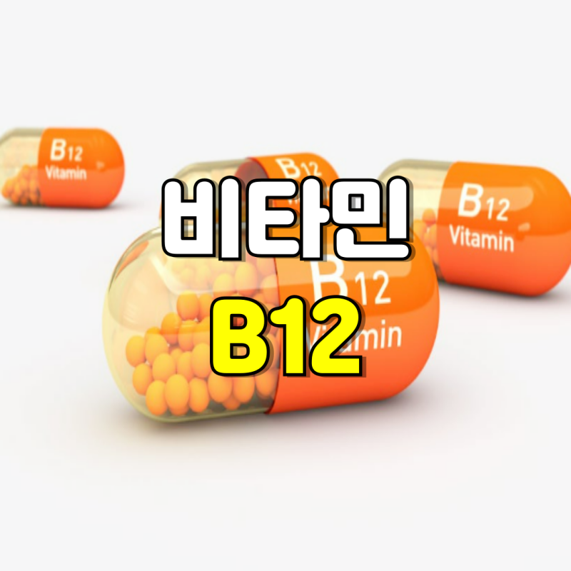 비타민B12 수치 높으면 과잉 과다 시 나타나는 증상 부작용