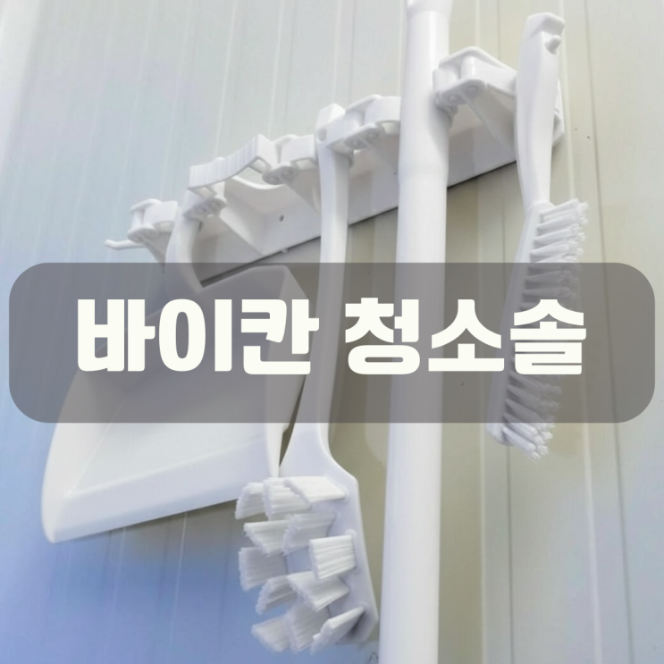  바이칸 화장실 바닥 청소솔(귀곰솔) 후기 변기 바닥 찌든 때 완벽 제거