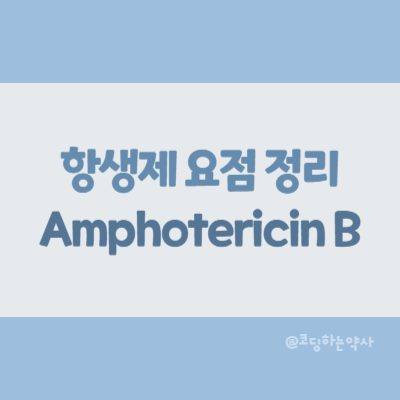  [항생제 요점 정리] Amphotericin B (암포테리신 비)