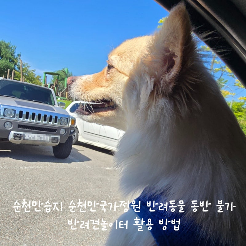 순천만습지 순천만국가정원 반려동물 동반불가 반려견놀이터 활용 방법