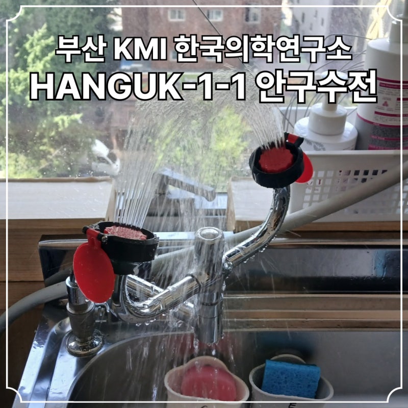 연구실 안구수전 눈세척기 【 HANGUK-1-1 】 설치 시공 #184 부산 KMI 한국의학연구소