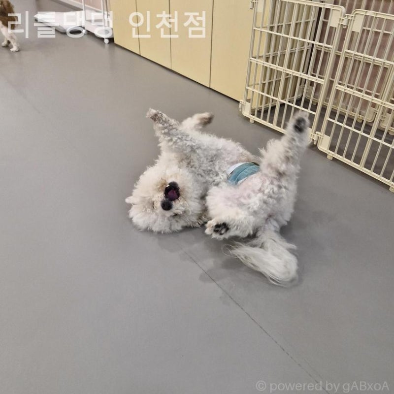 사진 4