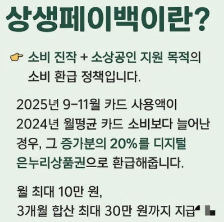  상생페이백 신청 방법부터 사용처까지 A to Z 총정리 (최대 30만원 환급!)