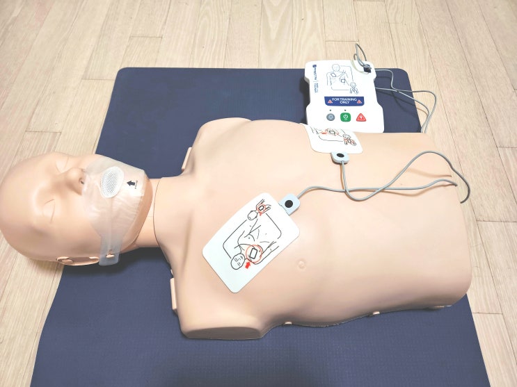  일산파주 EFR 응급처치 자격증 교육후기ㅣEFR 강사 한수광