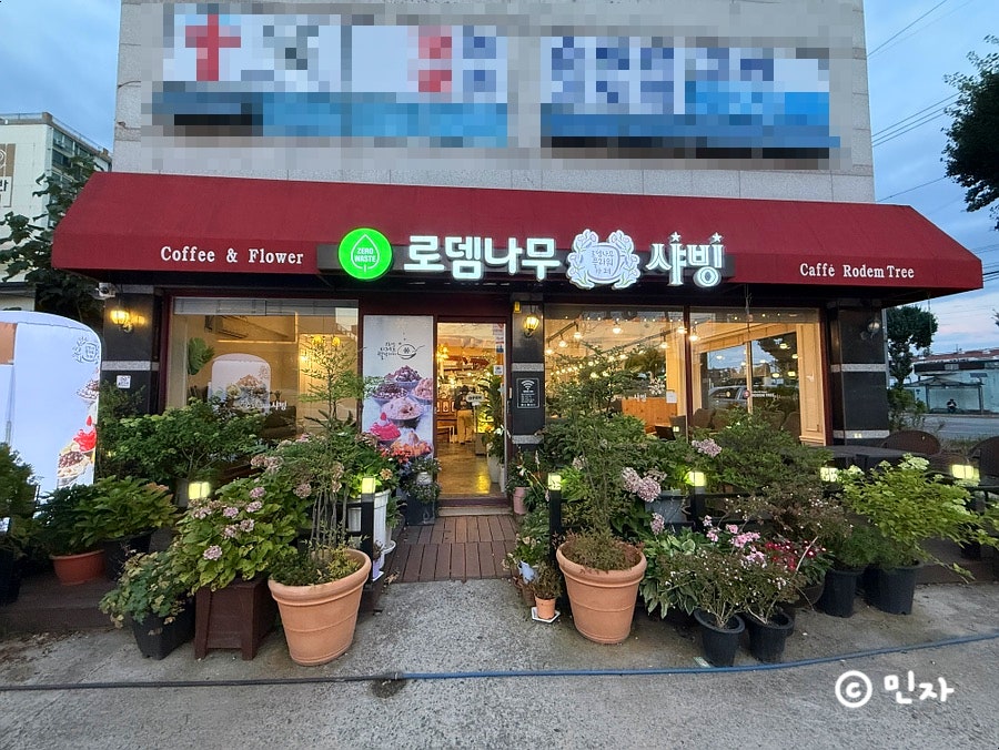 샤빙 사진 2