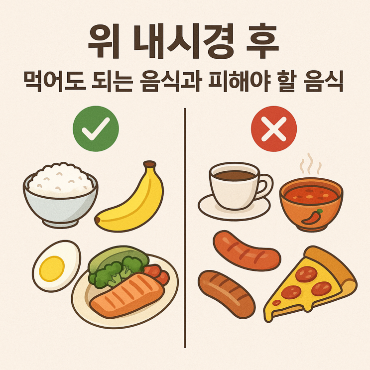  위 내시경 후 먹어도 되는 음식과 피해야 할 음식 총정리