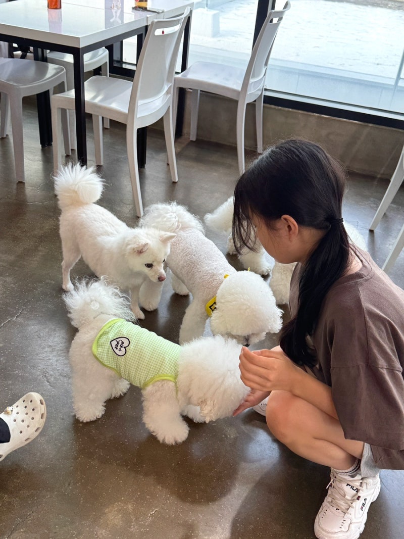 사진 4