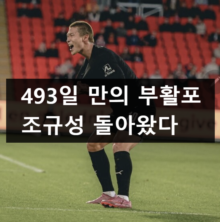 493일 만의 <b>부활포</b> <b>조규성</b> 돌아왔다