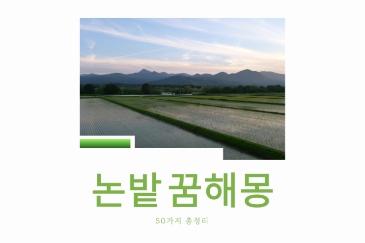 논밭 꿈해몽