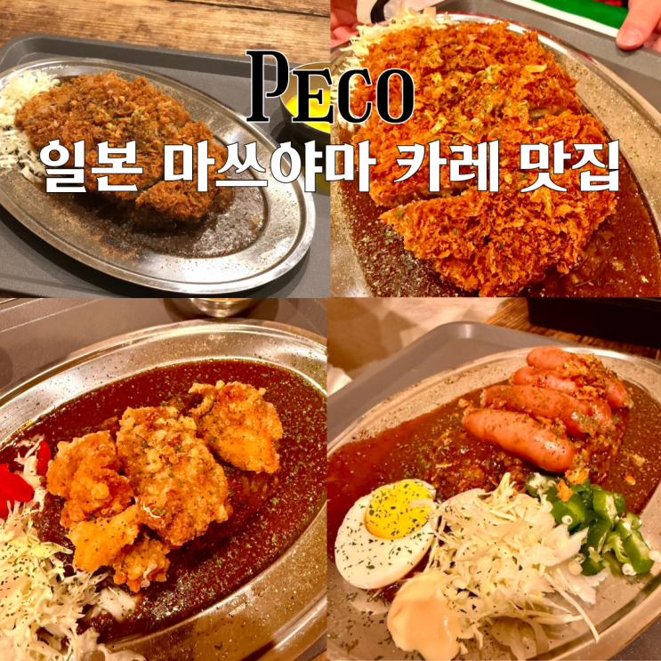  마쓰야마 맛집 PECO : 소도시에서 즐기는 일본식 카레 맛집 [일본 마쓰야마]