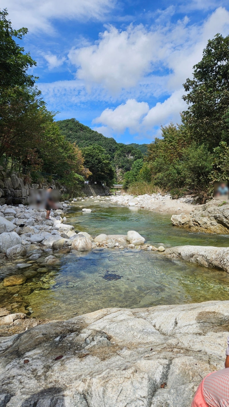 사진 5