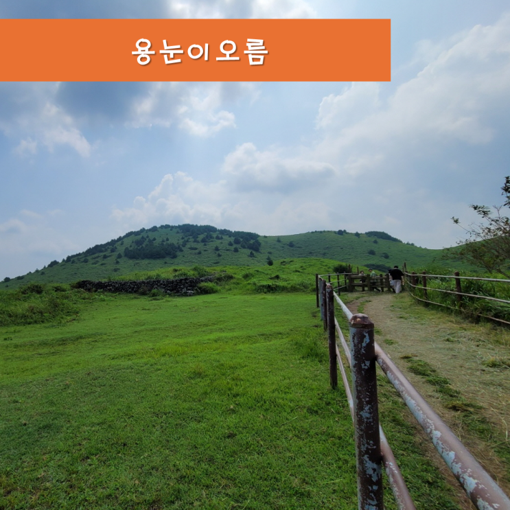  《제주오름》 용눈이오름 제주도 동쪽오름