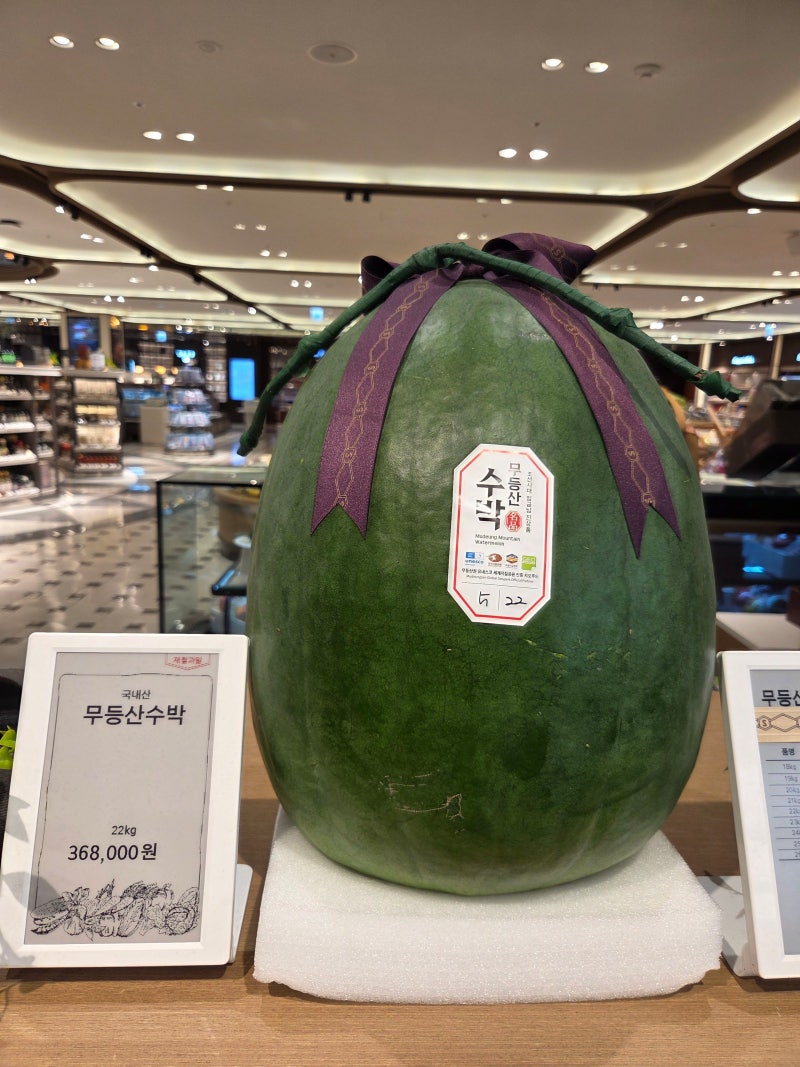 무등산 수박을 보며(2016년, 2025년)