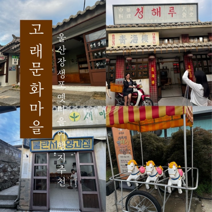  [ 고래문화마을 ] 울산 장생포 옛마을 여행지 추천 고래 축제