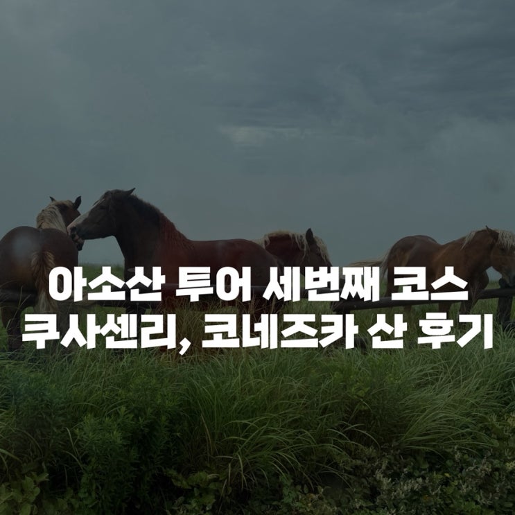  [아소산 투어] 구마모토 출발 버스투어 3번째 코스인 쿠사센리와 코네즈카 산 그리고 기념품 숍 후기