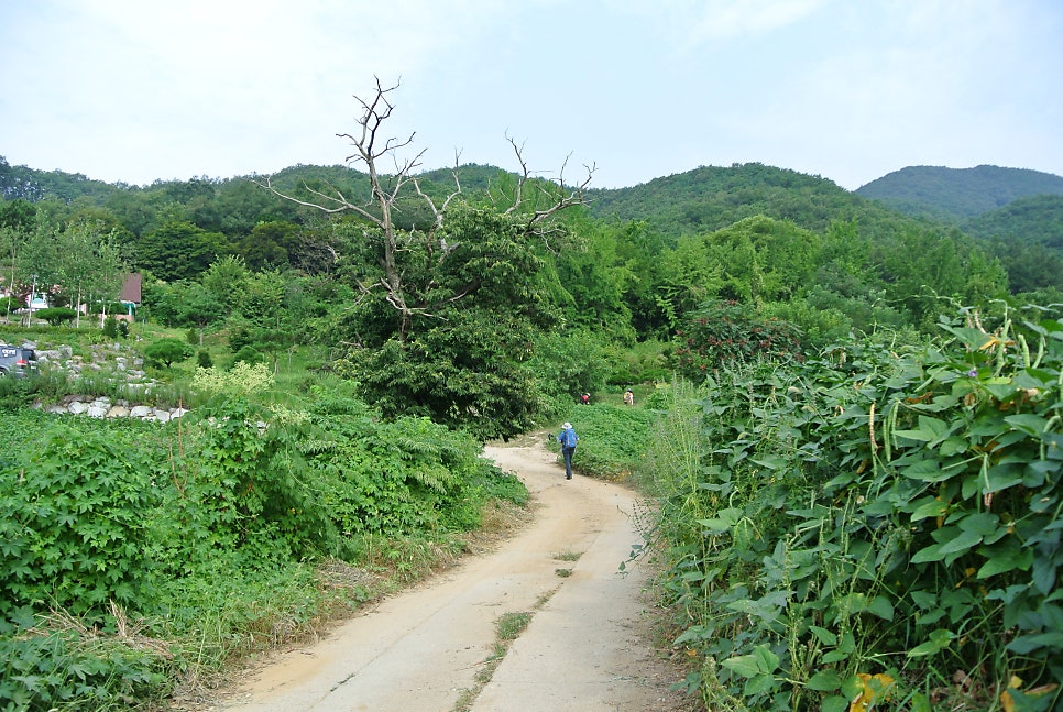 소군산 사진 4