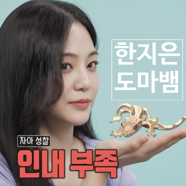  한지은 도마뱀 학대 논란! 100만 동물 유튜버 까지 걱정한이유