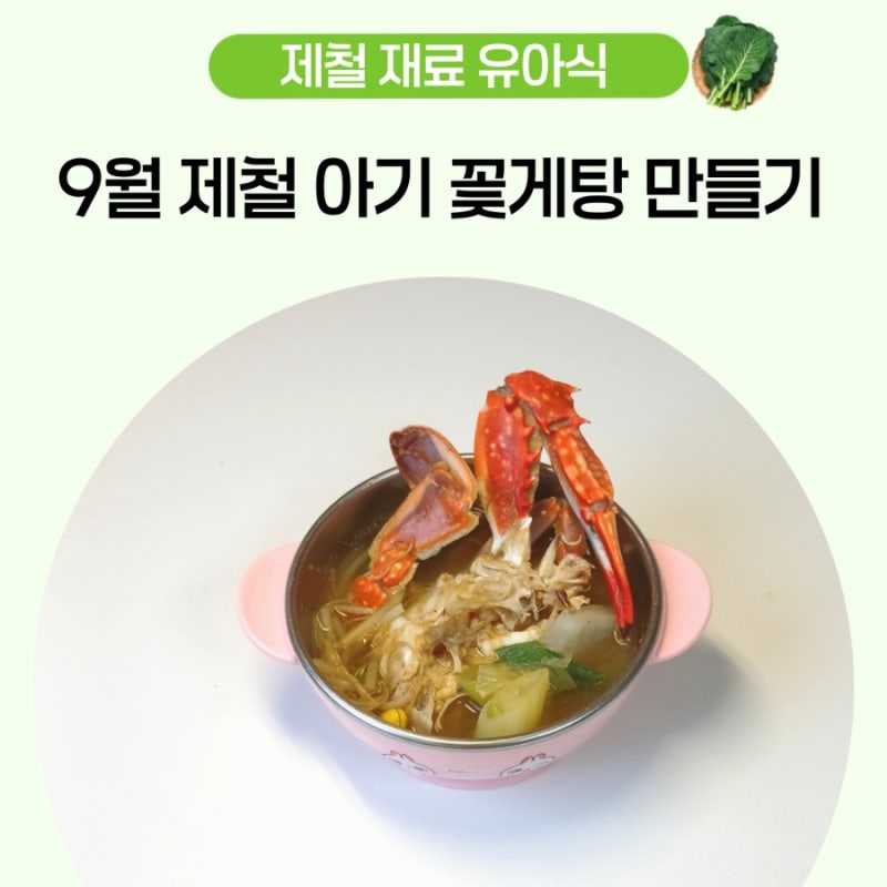 4세 유아식 국 아기 꽃게요리 꽃게탕 끓이는법 레시피