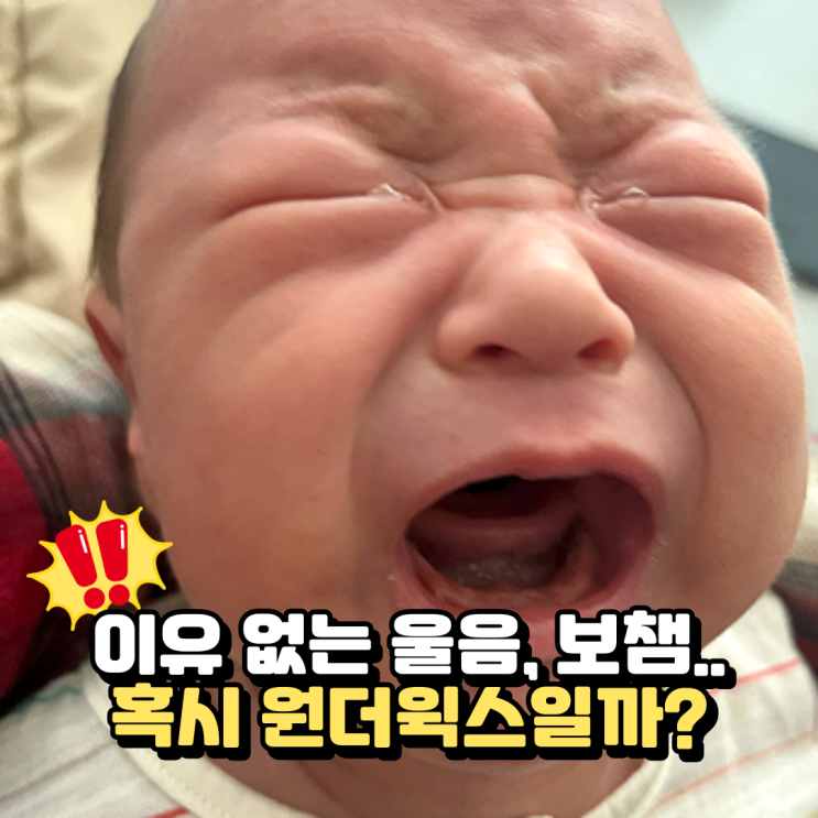  원더윅스 계산기 사용법, 시기별 기간과 증상 총정리