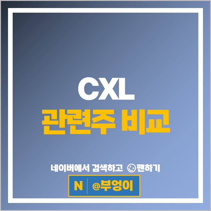 CXL 관련주 엑시콘 주식 SK 하이닉스 코리아써키트 삼성전자 주가