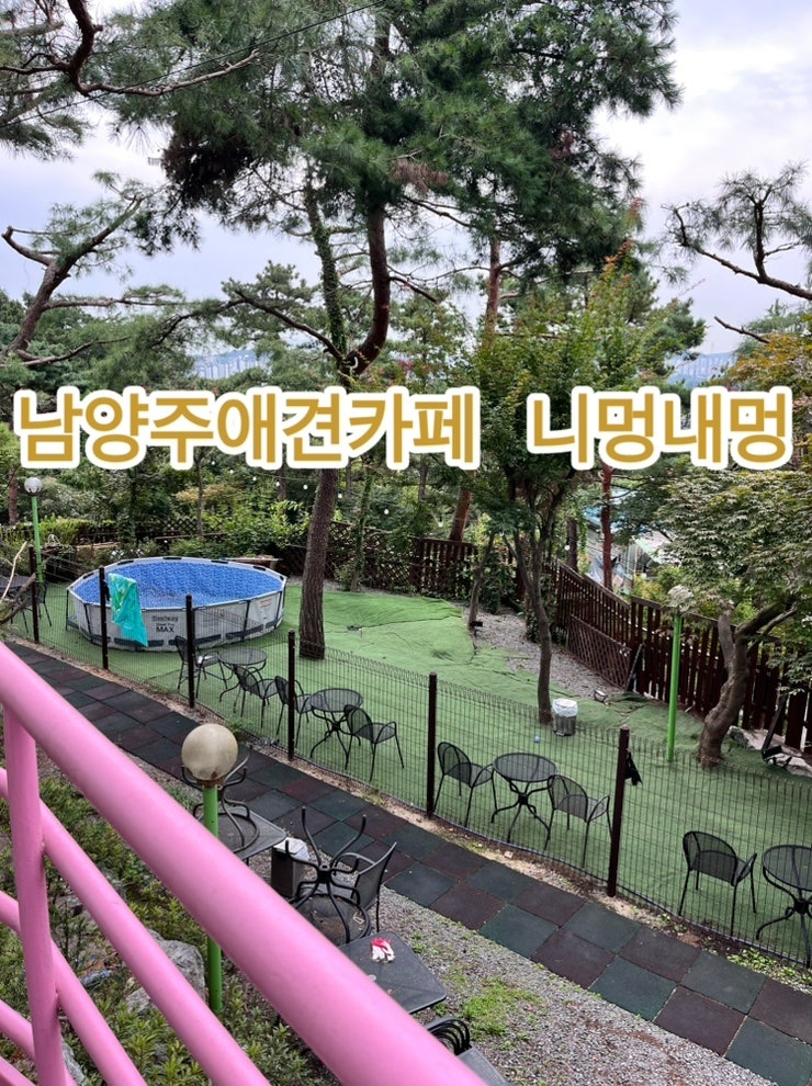 니멍내멍