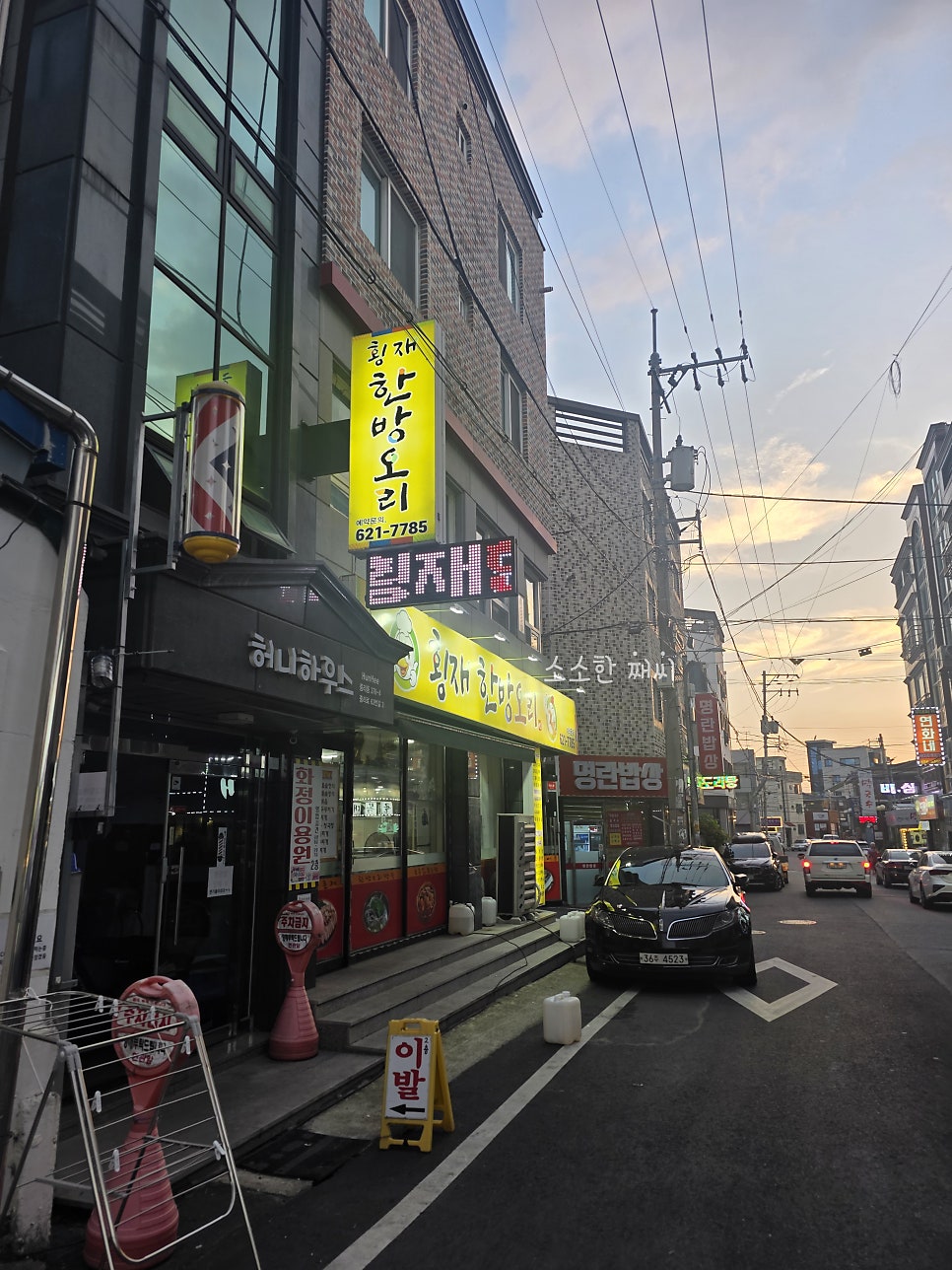 횡재한방오리 사진 1